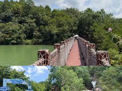 -广州白江湖森林公园