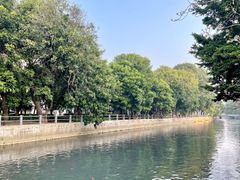 -广场正宗原汁薏米店