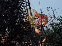 -枫香湖儿童公园