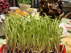 -番食园鲜食火锅(高新店)