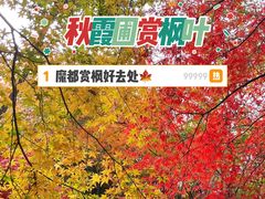 -秋霞圃