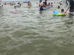 -碧海金沙