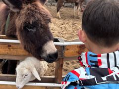 -HERRE·FARM 赫尔露营农场·团建聚会包场