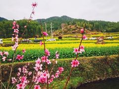-屯溪老街