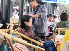 -泡桐树街