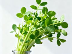 -闪电修企业手机电脑回收(西湖风景名胜区店)