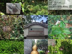 -广州神农草堂中医药博物馆