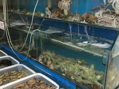 水产区-滨海小渔村·海肠捞饭·鲅鱼水饺·特色老火鱼丸汤(华田店)