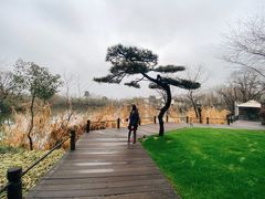 -新荣记(西溪湿地店)