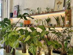 -绿小院(荔湾店)