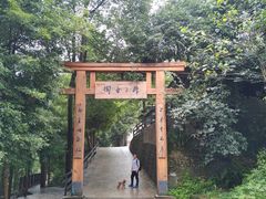-凤栖山