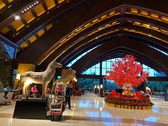 -三亚湾海居铂尔曼度假酒店