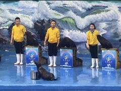 -多彩贵州城极地海洋世界