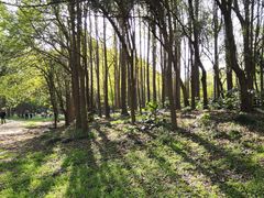 -共青国家森林公园-售票处