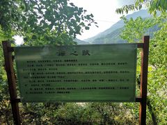 -杨家堂村