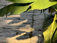 -巡塘古镇