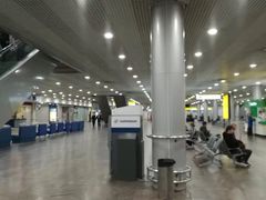 -谢列梅捷沃国际机场