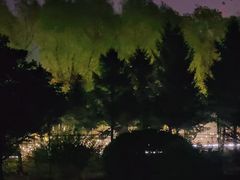 -丁香湖公园