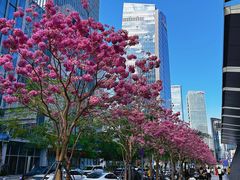 -深圳湾万象城(南山店)