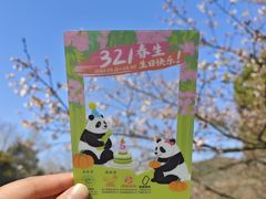 -杭州少年儿童公园