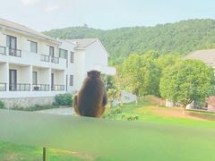 -苏州环秀晓筑养生度假村