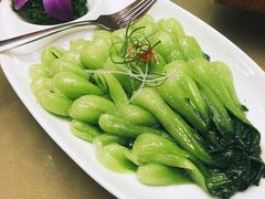 -山东八大碗山东老字号