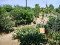 -森林公园(尖草坪区)