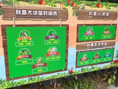 -广州长隆飞鸟乐园