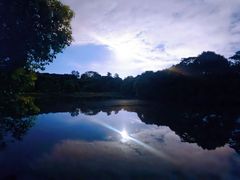 -福建鲤鱼洲酒店