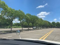 -安飞驰驾校·学车连锁(金高店)