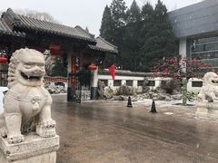 -团结湖公园