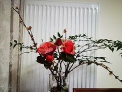 -海底捞火锅(阳光新业店)