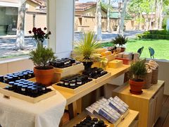 -春晖园度假酒店温泉