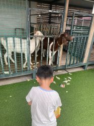 -小蜜蜂农场(凯德七宝购物广场店)