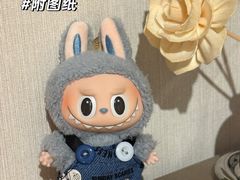 -泡泡玛特POPMART(天环购物中心店)