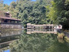-云南屏边大围山国家公园