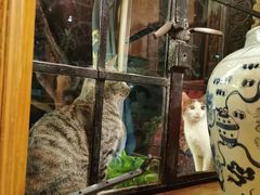 -马勒别墅·中餐厅