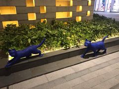 -中海环宇荟
