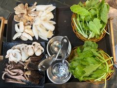 -蘑统田下·野生菌火锅