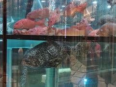 -金翠皇宫粤菜·点心·海鲜(科技园店)