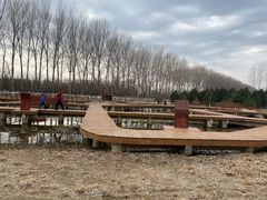 -东郊湿地公园