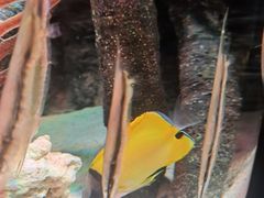 -沈阳海洋探索中心