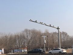 -塘沽森林公园