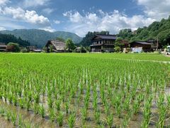 -白川乡与五箇山的合掌构造村落