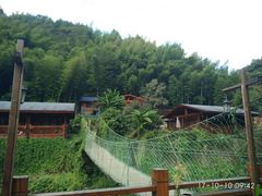 -四明山国家森林公园