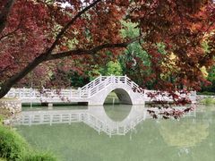 -南京珍珠泉风景区