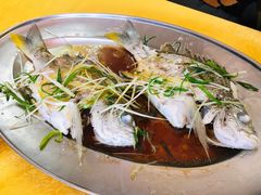 -南沙十九涌渔人码头-南门