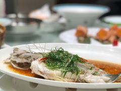 -广东道至正餐厅(区庄店)