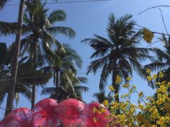 -开能健康科技园(川大路店)