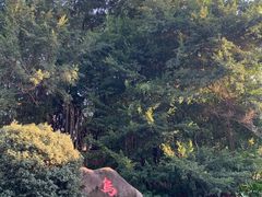 -乌山风景区